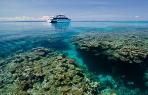 Australia - Great Barrier Reef Conservation5