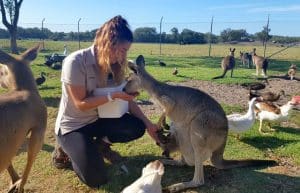 Australia - Port Stephens Wildlife Park13