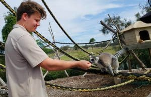 Australia - Port Stephens Wildlife Park20