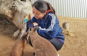 Australia - Port Stephens Wildlife Park7