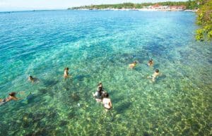 Bali - Family-Friendly Sea Turtle Rescue2