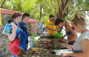 Belize - Family-Friendly Private Island Marine Experience12