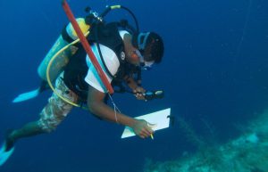 Belize - Private Island Marine Experience12