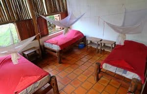 Cambodia - Elephant Sanctuary & Forest Conservation - Accommodations3