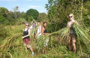 Cambodia - Elephant Sanctuary & Forest Conservation3