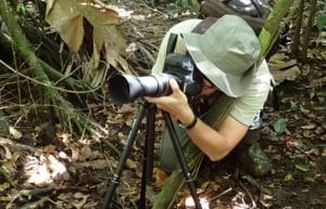 Costa Rica - Jaguar Research and Conservation2