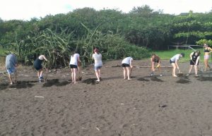 Costa Rica - Sea Turtle Conservation12