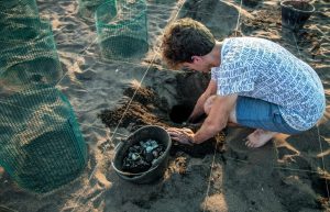 Costa Rica - Sea Turtle Conservation25