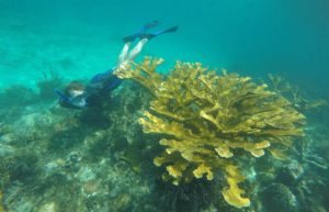 Cuba - Island Seaside Conservation33