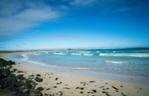 Ecuador - Giant Tortoise and Sea Turtle Conservation in the Galápagos5