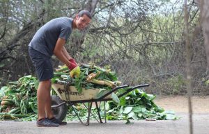 Ecuador - Giant Tortoise and Sea Turtle Conservation in the Galápagos8