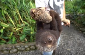 Ecuador - Wild Animal Rescue Shelter10