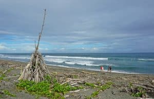 Fiji - Culture Week in Sigatoka15