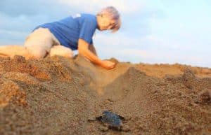 Greece - Family-Friendly Mediterranean Sea Turtle Conservation5