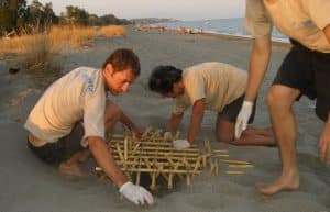 Greece - Mediterranean Sea Turtle Conservation3