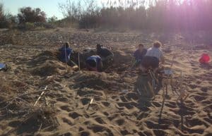 Greece - Under 18 Sea Turtle Conservation20