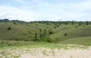 Indonesia - Komodo Dragon Conservation19