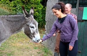 Ireland - Sustainable Farming and Cafe Experience4