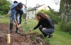 Ireland - Sustainable Farming and Cafe Experience6