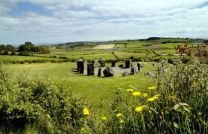 Ireland - Sustainable Farming and Cafe Experience9