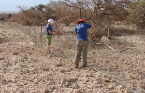 Israel - Desert Wildlife Program36