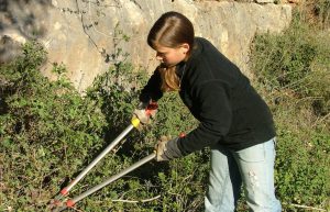 Israel - Sataf Ancient Agriculture3