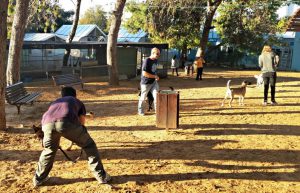 Israel - Tel Aviv Animal Shelter18