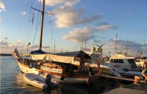 Italy - Liveaboard Dolphin Research Expedition21