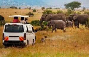 Kenya - Teaching, Maasai Mara and Beach Road Trip12