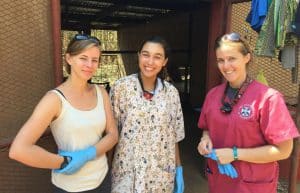 Malawi - Wildlife Rescue Center Veterinary Internship3