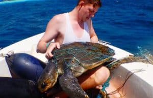 Maldives - Marine and Turtle Conservation10