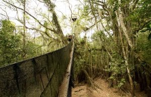 Peru - Amazon Conservation and Machu Picchu Expedition4