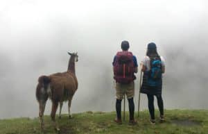 Peru - Teaching Assistance in Cuzco and 4-Day Machu Picchu Trek30