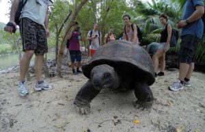 Seychelles - Wildlife Conservation Expedition17