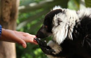 South Africa - African Wildlife Ranch23