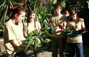 South Africa - African Wildlife Ranch30