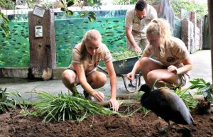 South Africa - African Wildlife Ranch7