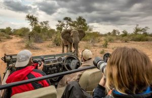 South Africa - Greater Kruger Area Wildlife Photography and Conservation4