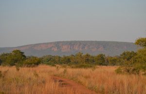 South Africa - Kevin Richardson Wildlife Sanctuary10