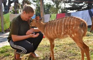 South Africa - Pre-Vet Wildlife Internship3