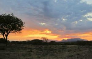 South Africa - The Big 5 Wildlife Reserve in the Greater Kruger Area12