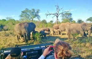 South Africa - The Big 5 Wildlife Reserve in the Greater Kruger Area17