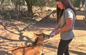 South Africa - Wildlife Rehabilitation Center10