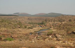 South Africa - Wildlife Rehabilitation Center19