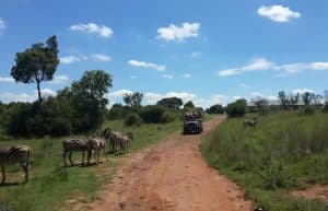 South Africa - Wildlife Sanctuary10