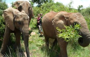 South Africa - Wildlife Sanctuary13