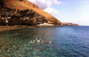 Spain - Canary Islands Dolphin and Whale Research10