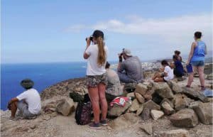 Spain - Canary Islands Dolphin and Whale Research25