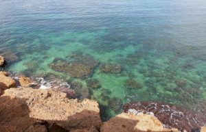 Spain - Coast and Marine Conservation in Denia48