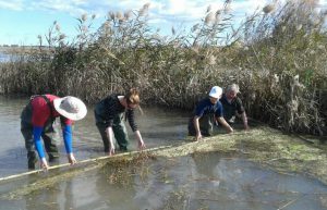 Spain - Conservation Projects in the Valencia Region12